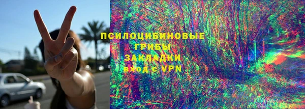 mdpv Инсар